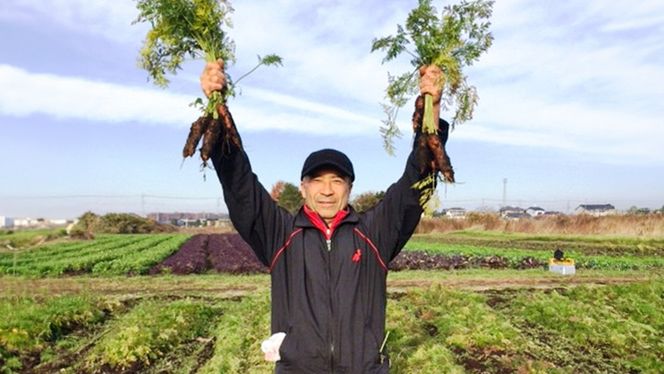 【 定期便 年4回お届け！】四季の 有機野菜 色とりどりセット 野菜 野菜セット 詰め合わせ 有機 無農薬 JAS認定 無化学肥料 おまかせ 野菜スティック レインボーフューチャー [AL001ci]