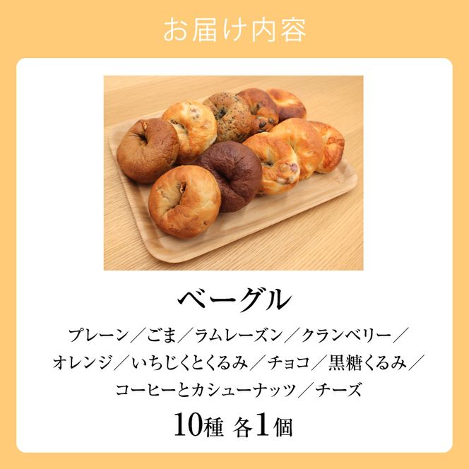 北海道産小麦使用！選べる楽しさ！ベーグル10種セット プレーン・チョコ・いちじく等 天然酵母_Y095-0012