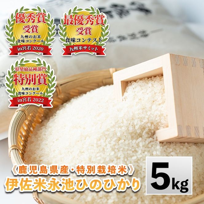 Z7-01 《数量限定》令和7年産 特別栽培米 伊佐米永池ひのひかり(5kg) 伊佐市 永池 特産品 伊佐米 九州米サミット 食味コンテスト 最優秀賞受賞 ヒノヒカリ 5kg 【エコファーム永池】
