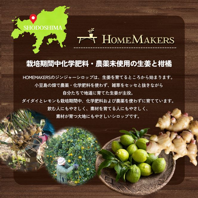 【 小豆島 】小豆島ジンジャー&ダイダイレモンシロップ3本セット ミニ お試し 飲料 飲み物 ドリンク シロップ ギフト 贈り物 香川 香川県 土庄 土庄町