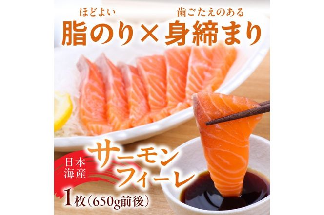 絶品！女性に大人気！お刺身食べ比べ！日本海産 サーモンフィーレ 約650g ＋ 甘えび むき身 20尾×1パック 刺身用　YK00216