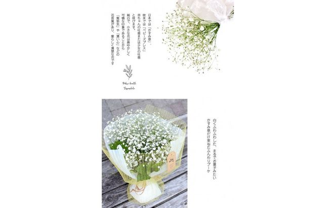 かすみそうの花束 かすみ草 カスミソウ 花束(小さいサイズ) 花 誕生日 成人式 卒業祝い 初節句 ひな祭り バレンタイン お返し 結婚 ウエディング 送別 祝い プレゼント ギフト 結婚祝い お礼 花束 生花 ドライフラワーにも 送料無料 退職祝い お母さん 記念日 272230_BG111