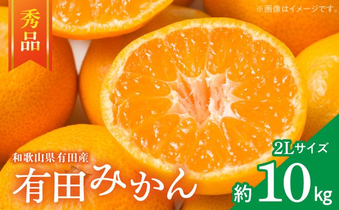 ZD7016_【2026年先行予約】【秀品】 和歌山 有田みかん 10kg (2Lサイズ・秀品）