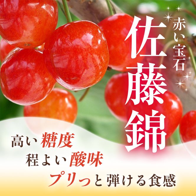[先行受付] さくらんぼ  佐藤錦 Lサイズ以上 1kg（500g×2パック） 化粧箱入  サクランボ チェリー フルーツ 果物 果物類 ギフト 贈答品 北海道 仁木町 仁木  [小林信幸]