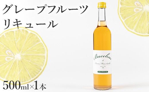 ymlzO[vt[cL[ 2026N8{珇\ kCEEւ̔zs