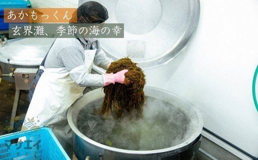 【定期便／年6回／偶数月にお届け】宗像のアカモク「あかもっくん」480g (80g×6個)【マサエイ水産加工】_HB0048
