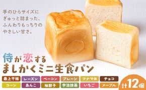 侍が恋する ましかくミニ生食パン 計12個 侍が恋するパン屋《30日以内に出荷予定(土日祝除く)》岡山 矢掛町 パン 食パン スイーツ 最上干柿 レーズン ベーコン プレーン ツナマヨ チョコ コーン あんこ 柚餅子 宇治抹茶 いちご メープル 矢掛の侍イタリアン---osy_fssypan_30d_26_12500_12---