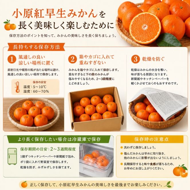 小原紅早生みかん　約5kg 果物類 柑橘類 フルーツ 