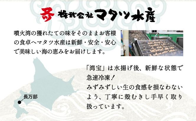湾宝ほたて貝柱　500g　3Sサイズ（20～25玉）【170021】