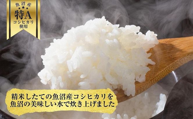新潟県 魚沼産 備蓄 コシヒカリ ご飯 200g×5 パック ごはん レンジ 簡単 巣籠り 無添加 パックご飯 ごはんパック ブランド米 便利 簡単調理 温めるだけ 