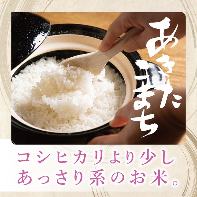 【数量限定】R7年産取手市産あきたこまち 精米5kg|お米 米 白米 茨城県 取手市（BS011）