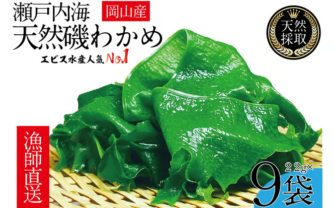 風味豊かな 瀬戸内 わかめ 22g×9袋 エビス水産【岡山 瀬戸内海 天然 カットわかめ】 [№5735-1278]