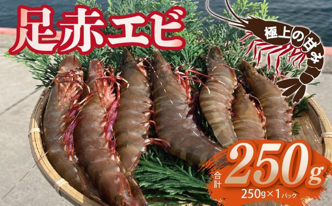 010B1862 足赤エビ 250g【国産 えび 天然 ぷりぷり 海鮮 水揚げ 生食可】