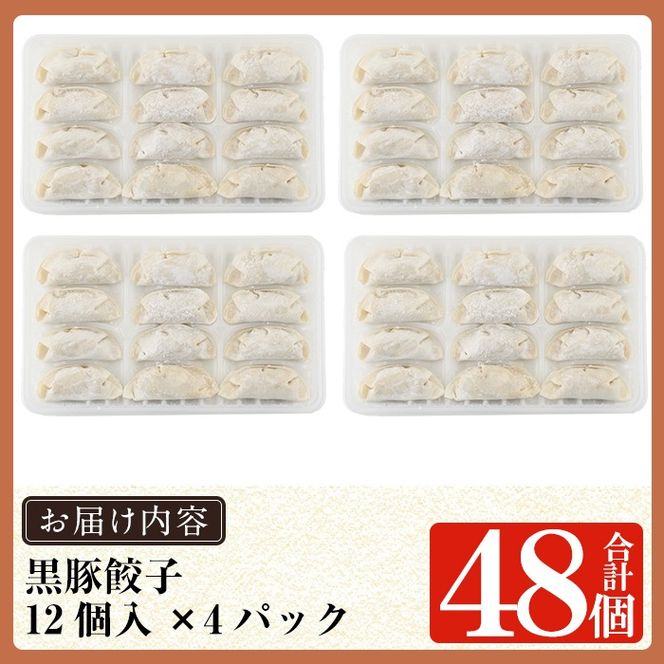 ＜年内発送＞＜容量・定期便が選べる＞鹿児島黒豚「短鼻豚」無添加餃子セット(48個・96個・3回定期便)【鹿児島ますや】姶良市 ギョーザ 餃子 無添加 惣菜 おかず おつまみ 冷凍 黒豚 国産野菜 ぎょうざ a441 a442 a880