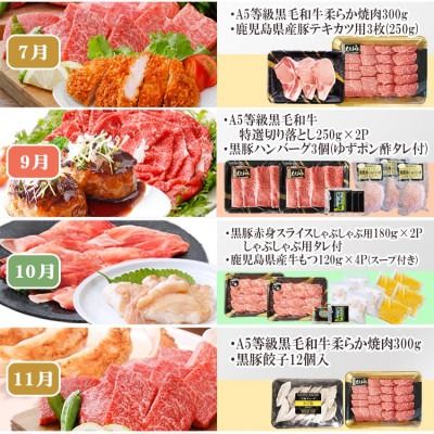 定期便(1年で10回配送)お楽しみ便(A5等級黒毛和牛・鹿籠豚(黒豚)・かご豚加工品等HH-6004 【1166752】