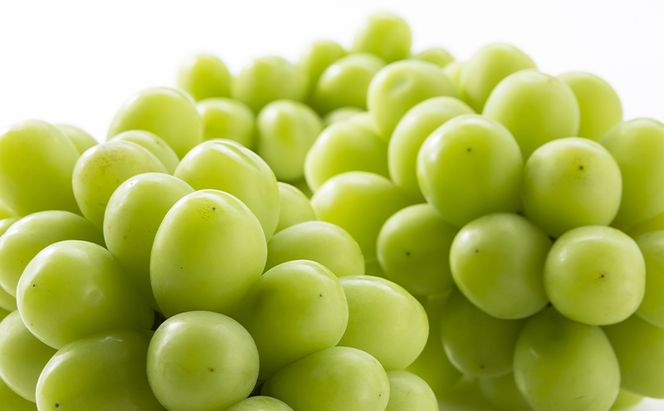 【2026年先行予約】 ぶどう 岡山県産 シャインマスカット 1kg箱（2～3房） 《2026年10月中旬-11月下旬頃出荷》 葡萄 ブドウフルーツ 果物 スイーツ 数量限定 期間限定 岡山 里庄町 ブドウ ぶどう