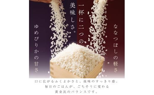 【定期便全12回】【順次発送中】◇令和7年産◇FURUCRI FARM 余市産 特選ブレンド米(精米) 5kg×12回_Y067-0350