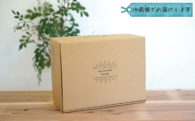 【2026年の先行予約】 岡山 花笑み農園『彩り３種セット』家庭用（1.8kg） 3M-2家 / ぶどう 詰め合わせ 食べ比べ シャインマスカット 岡山 真庭市 【hana085-01】