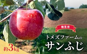 サンふじ（贈答用） 約3kg（8玉〜12玉入り）トメズファーム　りんご　長野　信州　小諸　果物　フルーツ