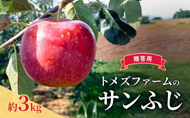 サンふじ（贈答用） 約3kg（8玉〜12玉入り）トメズファーム　りんご　長野　信州　小諸　果物　フルーツ