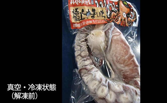 丸々太ったボイルタコ 1本 魚貝類 たこ タコ 茹で 刺身 たこ焼き 炒め物 酢の物 フライ 天ぷら 冷凍 日本海産 惣菜 日本酒 肴 珍味 日本酒 お取り寄せ 食品 食べ物 おつまみ 贈り物 プレゼント 家庭用 自宅用 送料無料 シーフード myz02