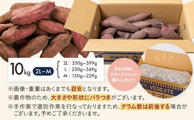 先行受付!【11月お届け】島津甘藷　熟成紅はるか 10kg(2L～M)_12-A7-001-10kg-11