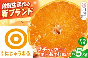 【2027年3月上旬より発送開始】にじゅうまる 約5kg バラ入り【佐賀県 みかん 柑橘 果物 くだもの フルーツ】(H116162)