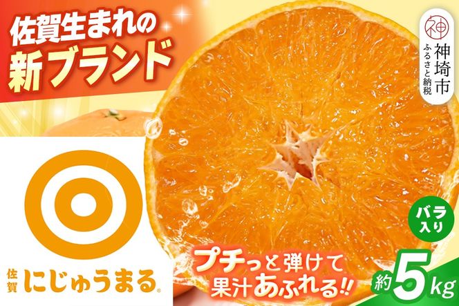 【2027年3月上旬より発送開始】にじゅうまる 約5kg バラ入り【佐賀県 みかん 柑橘 果物 くだもの フルーツ】(H116162)