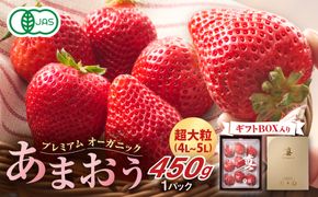 【先行予約】プレミアムオーガニックあまおう 「いせいちご」 プレミアムギフト【伊世いちご畑】_HA0481