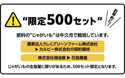  【 スナック菓子 3ヶ月 定期便 】 カルビー 湖池屋 人気 48袋 詰め合わせ バラエティ セット スナック ポテトチップス ポテチ ポテトチップ 菓子 お菓子 おかし おやつ おつまみ 大量 BIGBAG 堅あげポテト のりしお うすしお ブラックペッパー 頒布会 ジャガイモ じゃがいも まとめ買い [DA018us]
