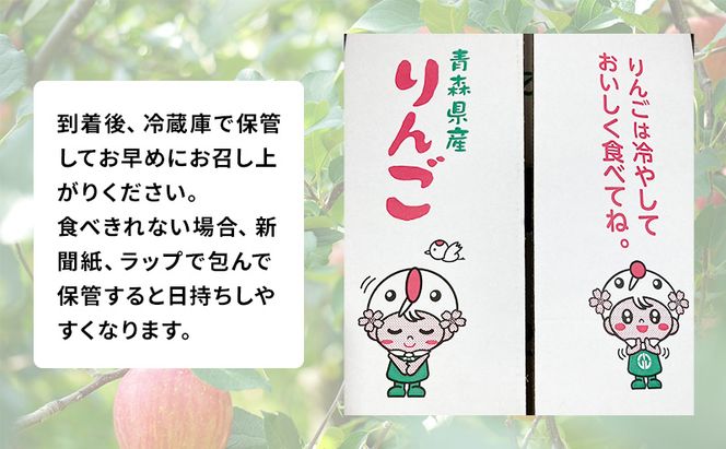 【 農家直送 数量限定 】 11～12月発送 家庭用 サンふじ 約 10kg 【 訳あり 】  果物 フルーツ 青森りんご シャキシャキ 