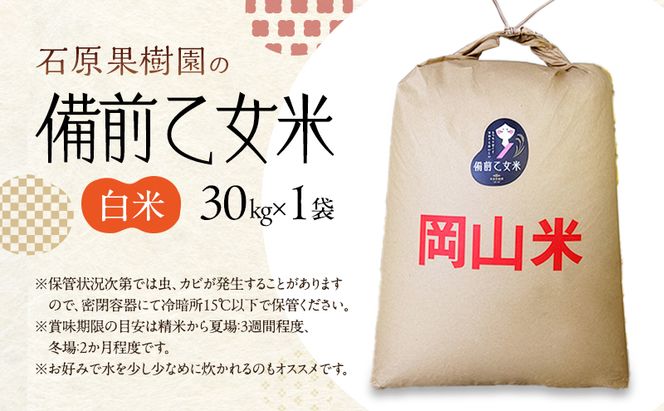 米 令和7年産 石原果樹園の備前乙女米 白米 30kg×1袋 ※11月上旬～順次発送予定 お米 精米 白米 ライス  乳酸菌栽培 岡山県 おにぎり お弁当