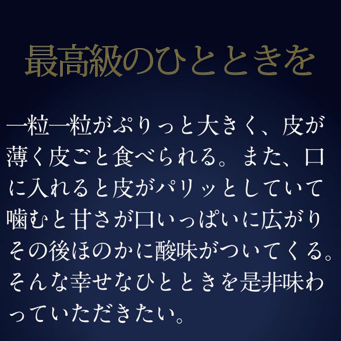 ぶどう 2026年 先行予約 9月・10月発送 高級品 シャインマスカット 晴王 1房 約600g ブドウ 葡萄 岡山県産 船穂産 フルーツ 果物 ギフト