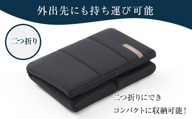 エアウィーヴ キャリークッションmini 232238_T232