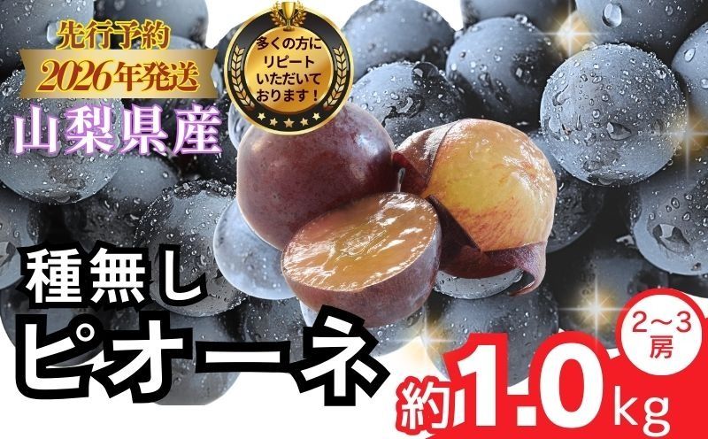 FB002[2026年 先行予約]山梨県産 種なしピオーネ2〜3房(約1.0Kg)|ピオーネ 種無し ブドウ ぶどう 葡萄 フルーツ 果物 贈答 プレゼント