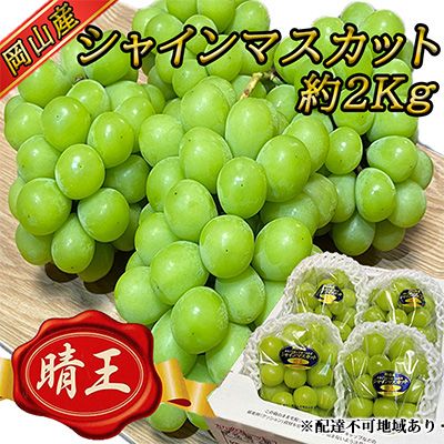 ぶどう2026年 先行予約 岡山 名産 晴王 シャイン マスカット たっぷり2kg！9月上旬以降順次発送 ギフトにも ブドウ 葡萄 岡山県産 国産 フルーツ 果物 ギフト用 贈答用 皮ごと 種なし 産地直送 