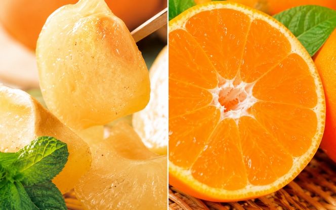 【旬のくだもの定期便】和歌山県の旬のフルーツをお届け！　全6回【Ｓ】（配送日時指定不可）※北海道・沖縄・離島への配送不可 / 定期便 フルーツ みかん いちご イチゴ 清見オレンジ すいか 桃 柿 6回 【ard-tkb900A】