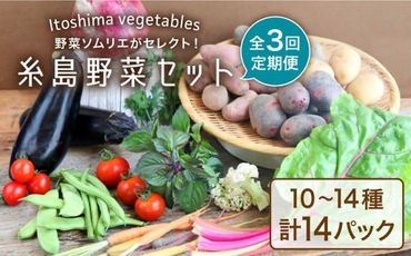 [全3回定期便]旬を味わう 糸島 野菜 セット 10〜14種 (14パック) / イタリア野菜 オーガニック 野菜ソムリエ 松永 糸島市 / vegeLabo 