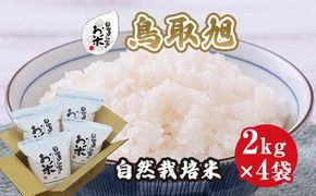 200.日置さん家の自然栽培米「鳥取旭」無洗米　2kg×4袋 2025年産 313726_AE015VC03