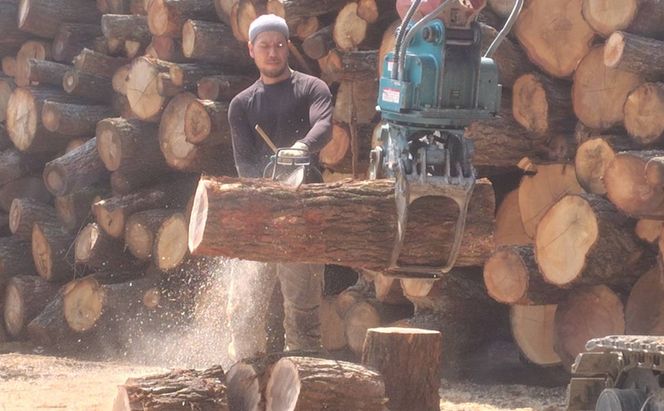 薪 キャンプ の 焚火 、 ストーブ ・ 暖炉 用に最適な 乾燥薪 18～20kg 日用品 ナラ クヌギ カシ 雑貨 焚火、ストーブ 暖炉用 