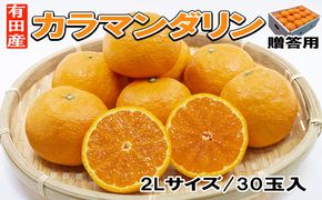 【先行予約】春 みかん カラマンダリン 贈答用（2Lサイズ30玉・秀品） 和歌山有田産