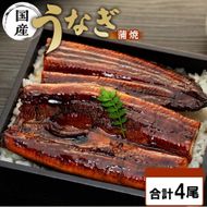 年内発送 国内産うなぎ蒲焼4尾（タレ・山椒付き）合計500g以上【申込は2025年12月24日まで】 	Y015