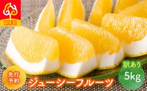 【先行予約】【訳あり】ジューシーフルーツ5kg（2027年5月中旬より順次発送） IKTF039