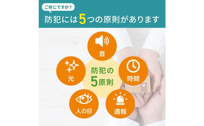 ドーム型カメラ　TBC-DC300 272183_AZ178