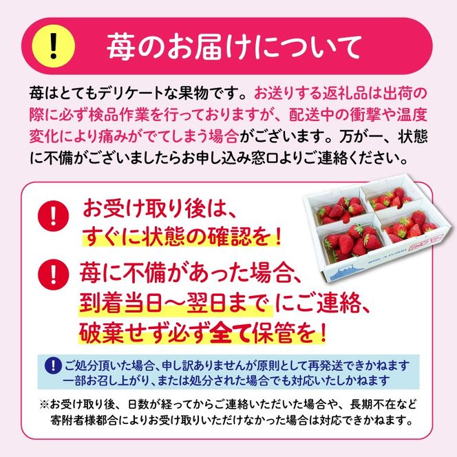 【先行予約 2024年11月より順次発送】 いちご 2種 1kg 以上 数量限定 苺 年内配送 産地 直送 イチゴ 紅ほっぺ 章姫 きらぴ香 かおりの フルーツ 果物 国産 ジャパンベリー 静岡県 藤枝市 [PT0040-000001]