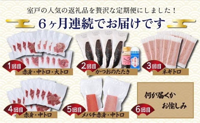 【贅沢定期便「力」/全6回】タカシン水産厳選 高知の海鮮セット 定期便 福袋 海鮮 詰め合わせ タタキ まぐろ マグロ 本まぐろ ネギトロ かつお カツオ 鰹 かつおのたたき カツオタタキ タタキ 魚介 高知 室戸定期便