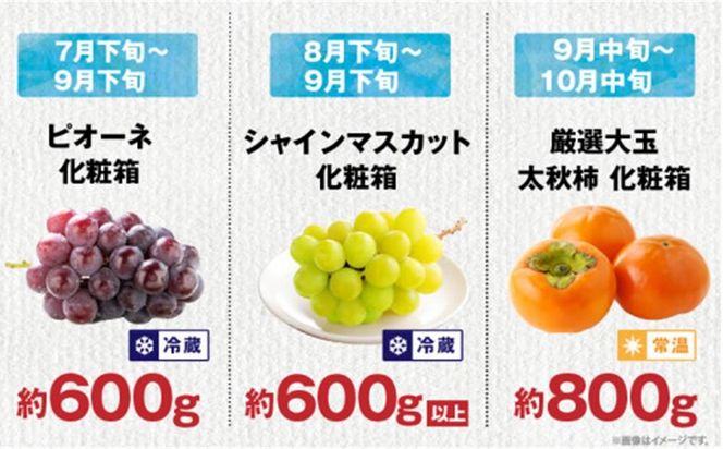 【ALL化粧箱】【12回毎月お届け】高松市自慢のフルーツ定期便【M】 372013_T006-777J