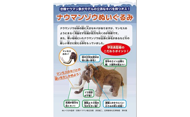 [北海道 幕別町]学芸員監修＆子どもたちと作った！忠類ナウマンゾウぬいぐるみ2体 キーホルダー1体 トレカ付き（小中学生制作のオリジナル学びの下げ札付き）[道の駅忠類]【 ぬいぐるみ おもちゃ ふわふわ もこもこ ギフト プレゼント 十勝 】