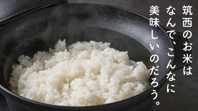 【訳あり】 再生 二期作 コシヒカリ 精米 5kg ＆ つきあかり 精米 5kg 令和7年産 再生二毛作 米 お米 コメ 白米 茨城県 新生活 応援 [EX011ci]