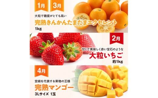 【 12ヶ月定期便 】 超 プレミアム デラックス 定期便 【 川南町産 くだもの きんかん いちご 完熟 マンゴー ぶどう ピオーネ シャイン マスカット 大玉 メロン 】[D11718t12]